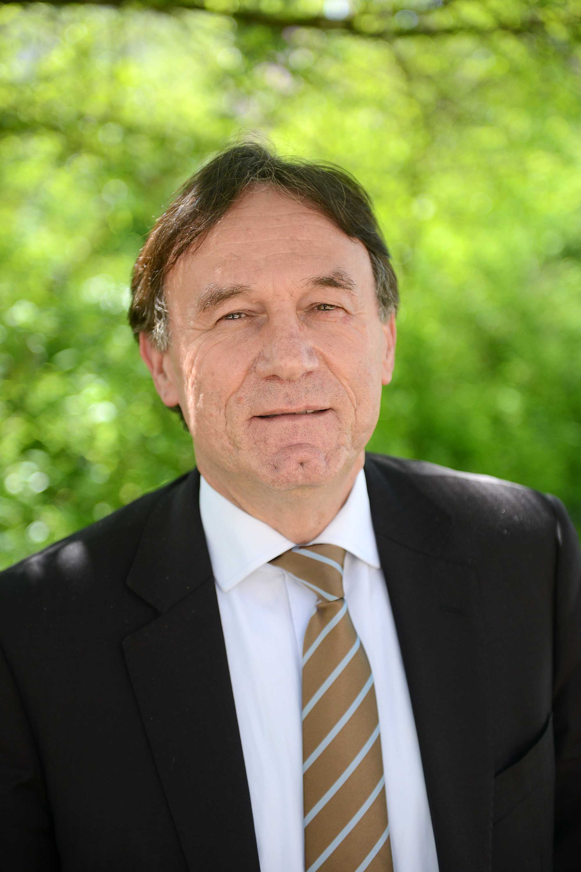 Photo portrait de M. Joly, cheveux bruns, veste noire, chemise blanche et cravate ray&eacute;e