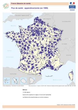 Flux de sant&eacute; : appendicectomie