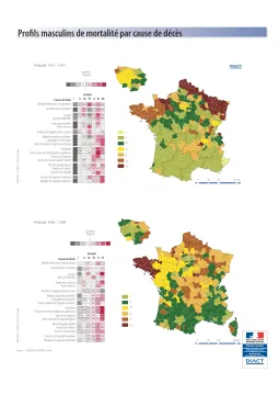 Profils masculins de mortalit&eacute; par cause de d&eacute;c&egrave;s