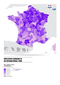 Employees working in an international Firm