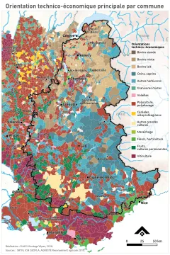 Orientation technico-&eacute;conomique principale par commune