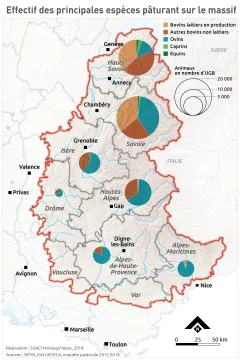 Effectif des principales esp&egrave;ces p&acirc;turant sur le massif
