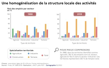 Une homog&eacute;n&eacute;isation de la structure locale des activit&eacute;s