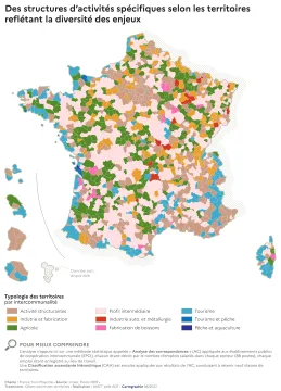 Des structures d'activit&eacute;s sp&eacute;cifiques selon les territoires refl&eacute;tant la densit&eacute; des enjeux