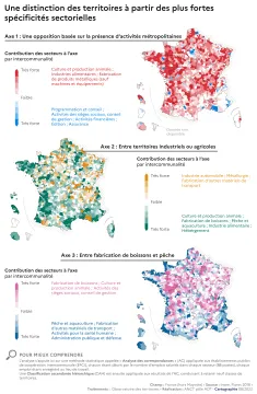 Une distinction des territoires &agrave; partir des plus fortes sp&eacute;cificit&eacute;s sectorielles