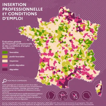Typologie de l'insertion professionnelle et des conditions d'emploi