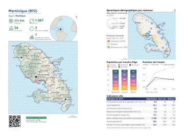 Portrait de d&eacute;partement : Martinique (972)