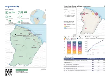 Portrait de d&eacute;partement : Guyane (973)