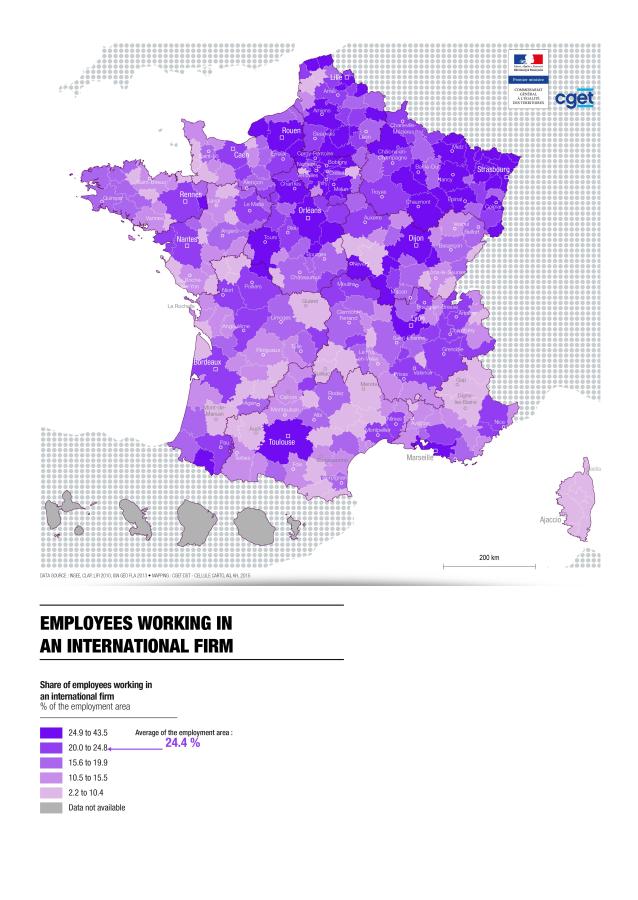 Employees working in an international Firm