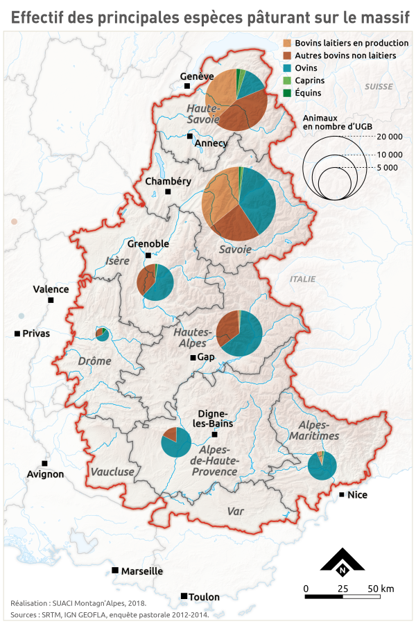 Effectif des principales esp&egrave;ces p&acirc;turant sur le massif