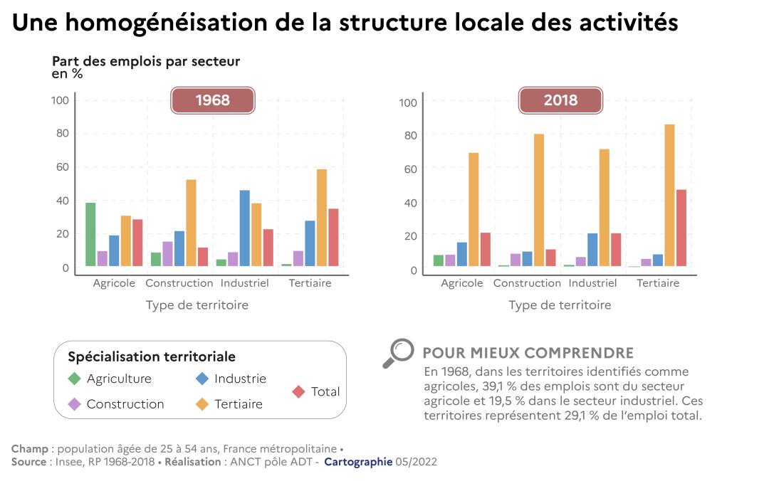 Une homog&eacute;n&eacute;isation de la structure locale des activit&eacute;s