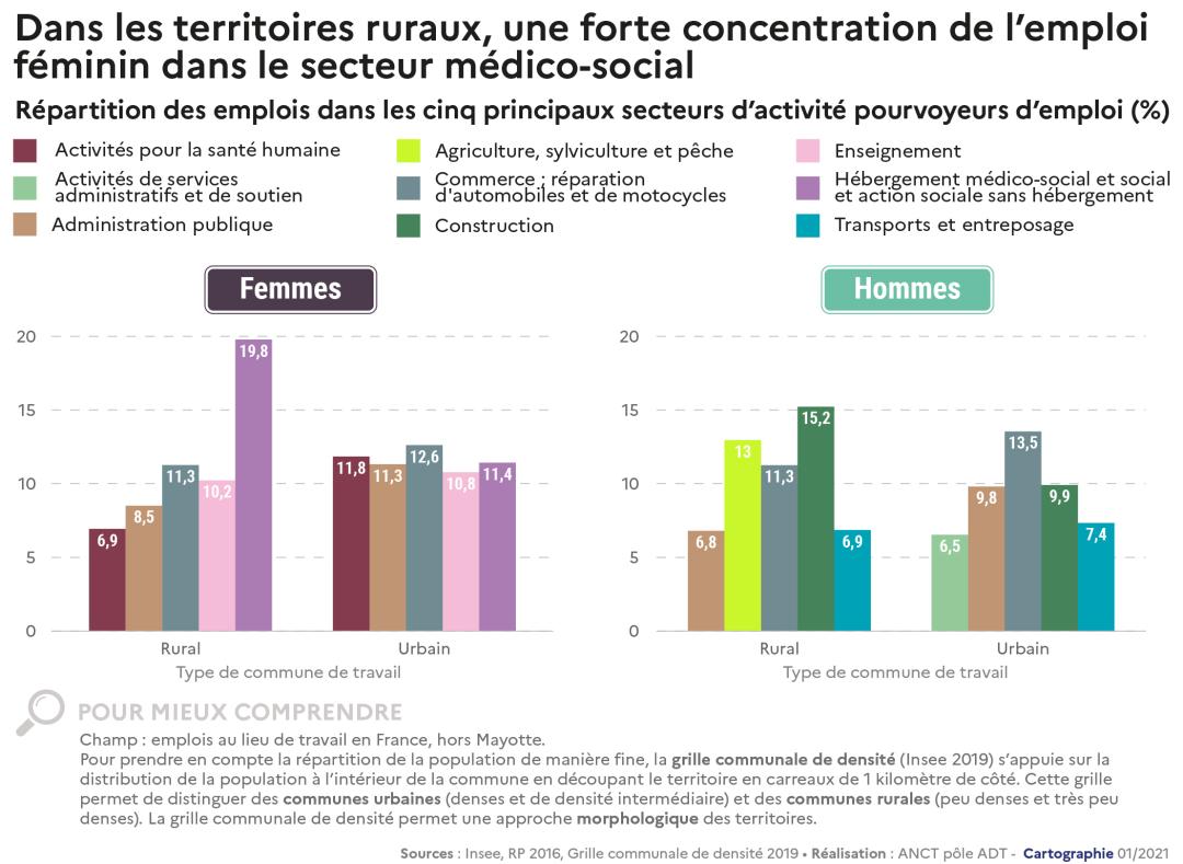 Dans les territoires ruraux, une forte concentration de l'emploi f&eacute;minin dans le secteur m&eacute;dico-social