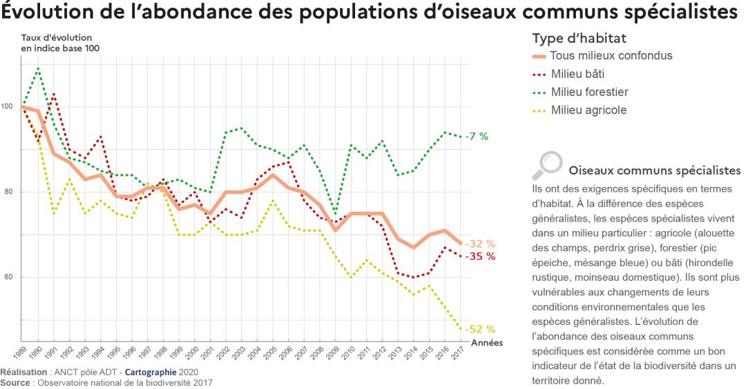 Evolution de l'abondance des populations d'oiseaux communs sp&eacute;cialistes